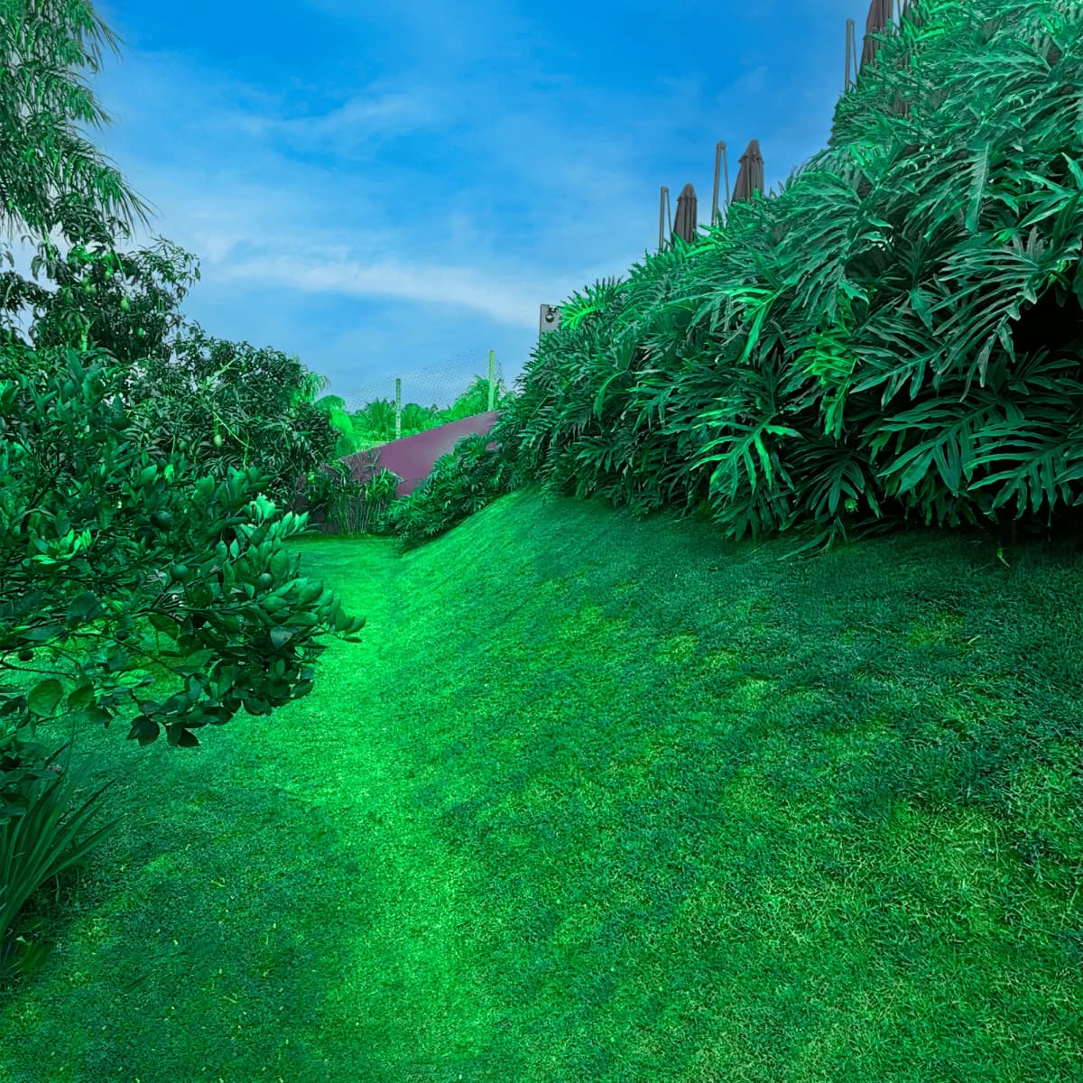 Barrancos e Encostas: Estabilização e proteção do solo